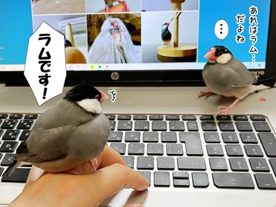 s-IMG_6327