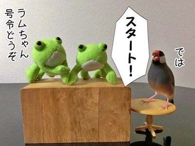 s-CIMG0398