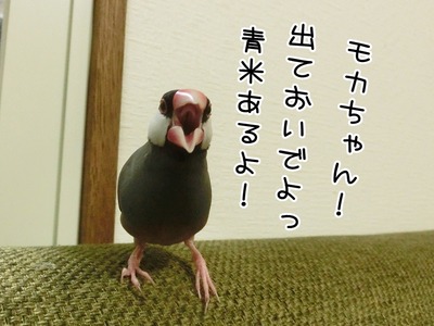 s-CIMG0163
