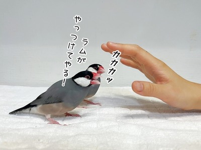 2