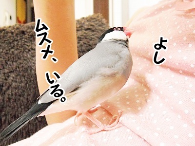 ブンチョ日誌