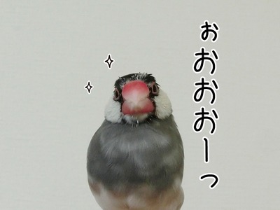 s-CIMG7960