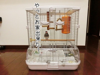 s-CIMG8264