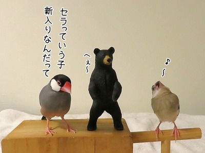 s-IMG_2816