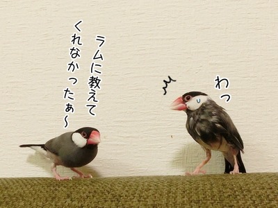 s-CIMG0289