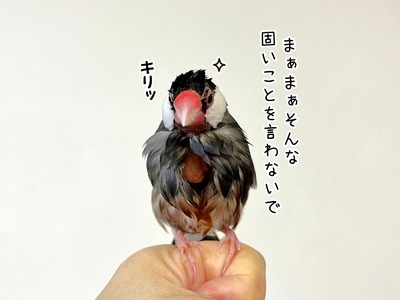 s-IMG_3010