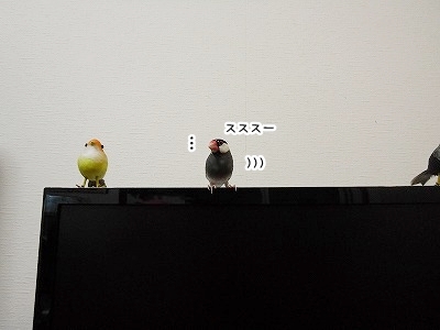 ブンチョ日誌