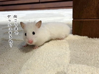 s-IMG_5185