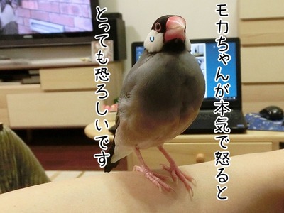 s-CIMG0790