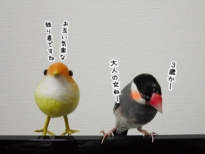ブンチョ日誌