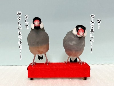 １２