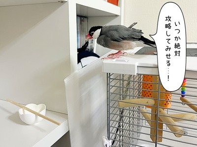 娘と隣りの部屋に籠もるラム : ブンチョ日誌 Powered by ライブドアブログ