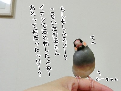 s-CIMG8404