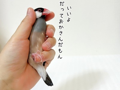 s-IMG_6683