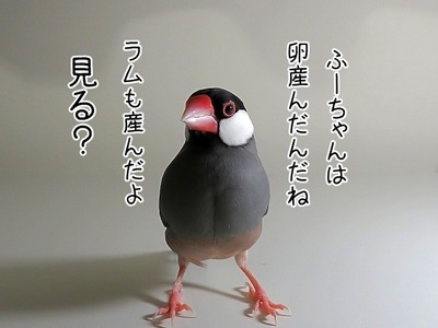 s-IMG_0153