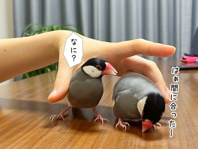 2