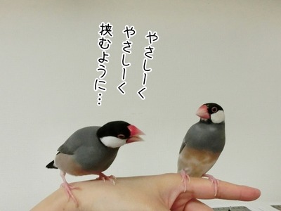 s-CIMG0184