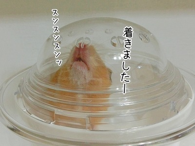 s-CIMG8703