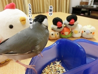 ブンチョ日誌
