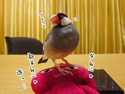 ブンチョ日誌