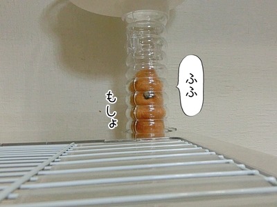 s-CIMG8696
