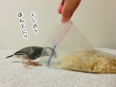 s-CIMG7917