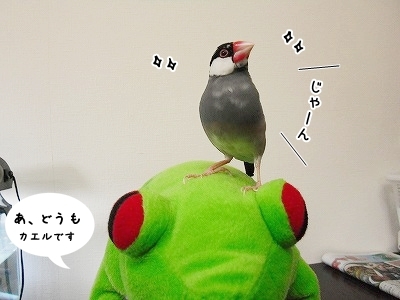 ブンチョ日誌