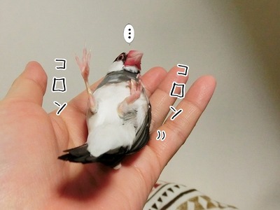 s-CIMG4767