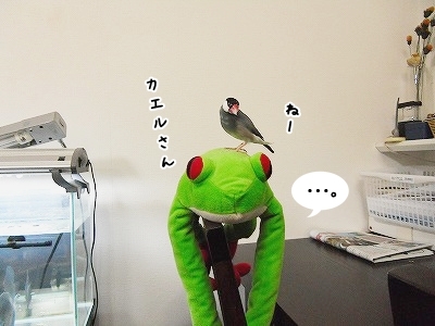 ブンチョ日誌