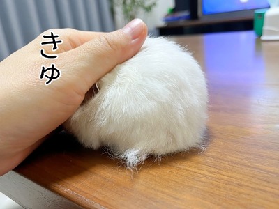s-IMG_3563