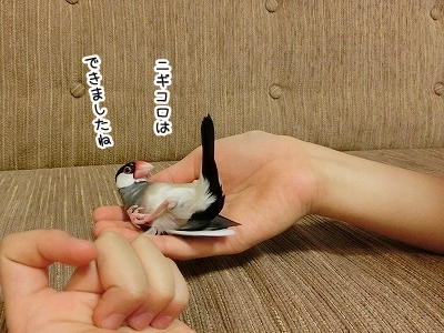 ブンチョ日誌