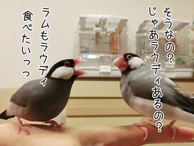s-CIMG0998