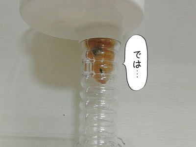 s-CIMG8708