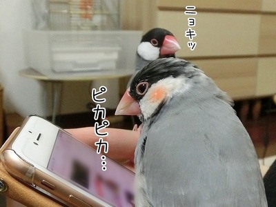 s-CIMG4034
