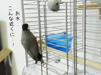 s-IMG_1039