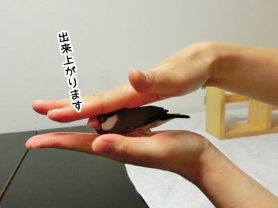 s-CIMG0129