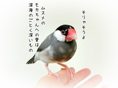 s-CIMG0884