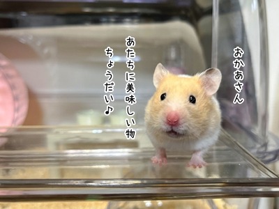 s-IMG_3602
