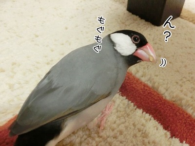 s-CIMG5224