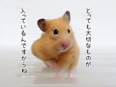 s-IMG_6404