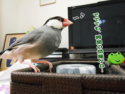 ブンチョ日誌