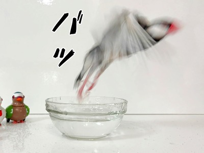 17