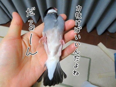 s-IMG_2006