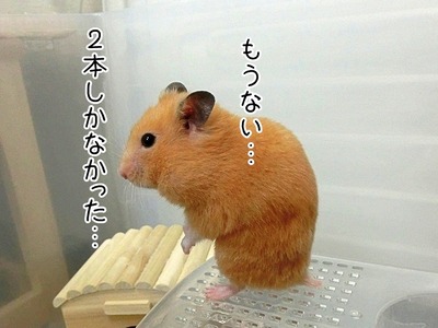 s-CIMG0949