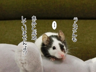 s-CIMG4613