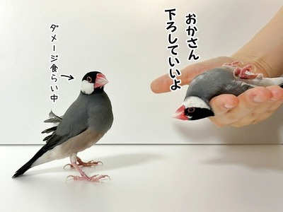 s-IMG_1148