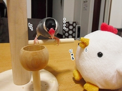 ブンチョ日誌