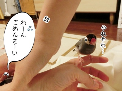 s-CIMG9772