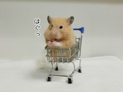 s-CIMG9917