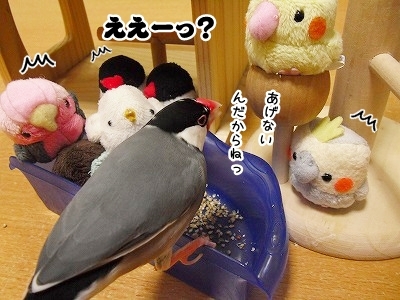 ブンチョ日誌